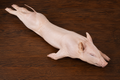 Cochinillo Entero chuleteado